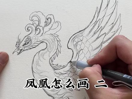 凤凰画法 第二步 #凤凰怎么画#国风绘画#神鸟