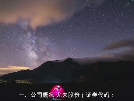 解读分析一家公司 尤夫股份002427