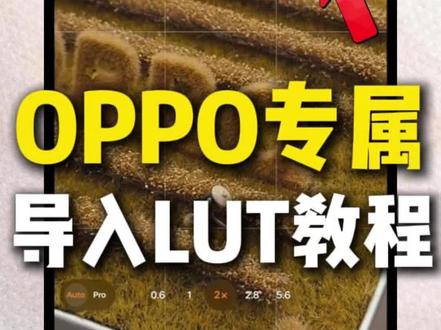 直接抄!OPPO导入LUT保姆级教程 #oppo手机功能 #OPPO正佳旗舰店#OPPO省心狂补节 #OPPO大广州省心狂补节#lut