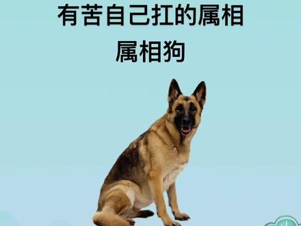 有苦自己扛的属相……#生肖狗#生肖文化 #传统文化#国学智慧 #情感💎励志@抖音小助手 @DOU+小助手