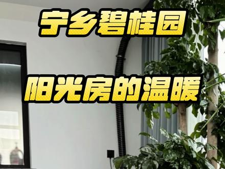 冬天阳光房冷怎么办,可以考虑装一台壁炉,温暖的和朋友家人们围炉煮茶,一起享受大自然!#防寒取暖神器迎接零下10度 #家用取暖炉推荐 #冬日取暖神器 #高端欧式颗粒壁炉 #家用取暖器推荐