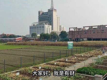 每日解读第0088期解析公司之农发种业 #农发种业