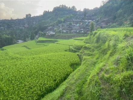 强烈推荐贵州岜沙苗寨,89年被发现,98年才有人进入研究,千百年来鲜与外界交流,古老神秘。喜欢原生态的早点去,再过几年就要商业化了。做了一篇岜沙游记,还会去的。#保持热爱奔赴山海 #慢下来看世界 #所遇皆美好
