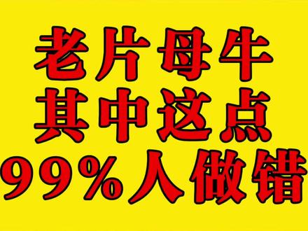 老片母牛,这一点有99%的人做错了!#养牛 #育肥牛 #老片母牛 #淘汰母牛 #农村养牛人记录农村生活