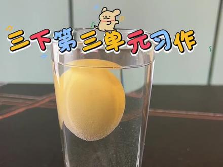 三下第三单元习作会浮水的鸡蛋 #三年级下册语文
