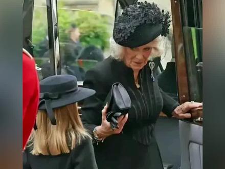 卡米拉年轻-抖音