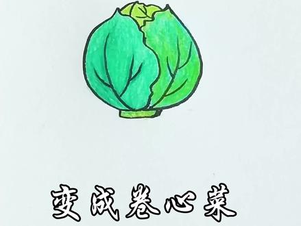 绿油油的卷心菜#简笔画#蔬菜@抖音小助手