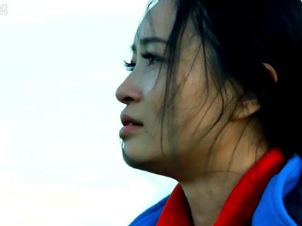 重返狼群2 最终,格林,消失在茫茫的草原尽头,回归了狼群。#格林 #重返狼群 #重返狼群格林 #动物科普