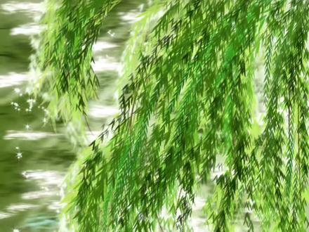 画世界Pro绘画教程 ‖ 柳影拂波 #创作者中心 #创作灵感 #平板画画新手教程 #插画 #板绘教程 波光粼粼 水面涟漪 绿色系 @抖音创作小助手 @DOU+小助手