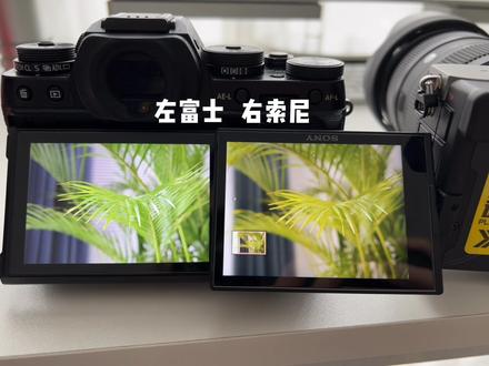哎,索尼的直出色彩真是一言难尽!#索尼#富士#摄影
