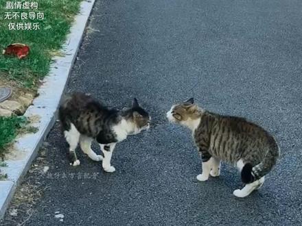 看不起我的那么多 你算老几 #我要上热门🔥