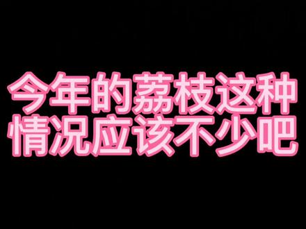 #玲珑荔枝 今年的这种情况多嘛?荔枝小年要怎样应对?