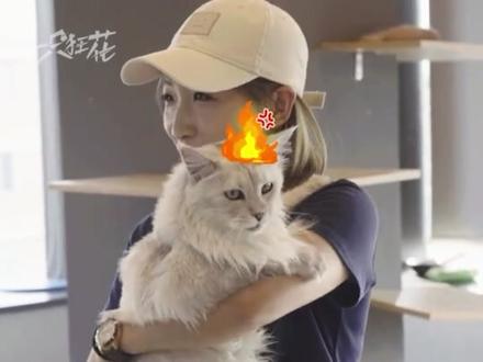 心怀热爱每年都是你的当打之年#刘诗雯 #女乒 #励志 #心疼