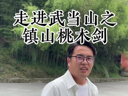 原来张三丰真的存在,看画像就是得道高人,据说武当山镇派之宝,一直在等待有缘人的到来!#武当山 #全能导游 #道士 #在线薅导游可太上头了 #旅行指南针