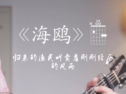 逃跑计划《海鸥》#逃跑计划 #吉他弹唱#吉他教学