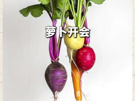 全国人都爱萝卜?因为真的好 #中国食品网 #食物科普 #蔬菜