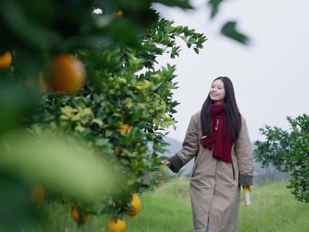 在赣南,山水入梦,与自然的橙味相融 #好果汁看配料表 #赣南脐橙 #农夫山泉NFC橙汁
