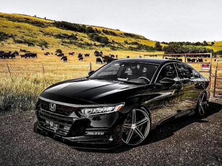 “今日无文案 ”#十代雅阁 #今日壁纸 #微信背景图