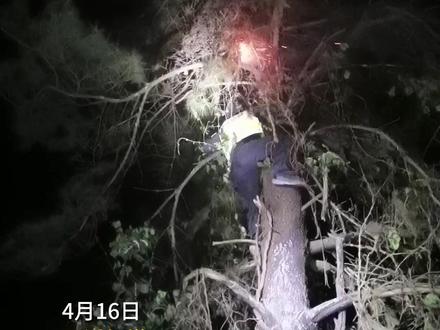 火情不退 绝不收兵#玉溪森林火灾事故救援