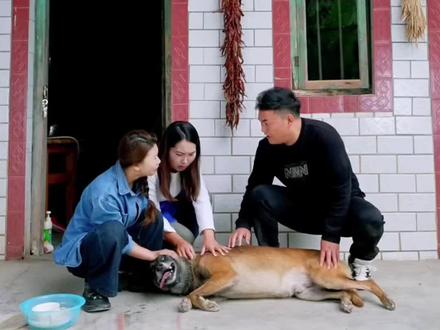 看到巴图不舒服,感觉空气都是沉重的,希望巴图平安无事….