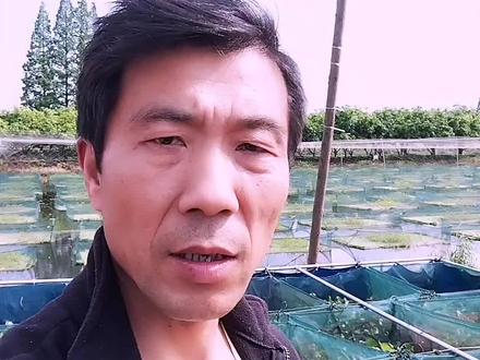 养黄鳝多久换一次水?每次换多少水?#黄鳝养殖#养殖经验分享#三农水产#益阳水产养殖#抖音助农