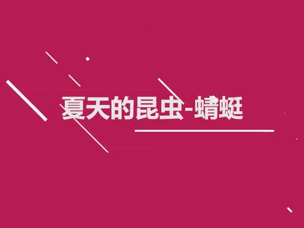 #昆虫世界 #科普 #科普一下 关于蜻蜓的知识你了解多少?