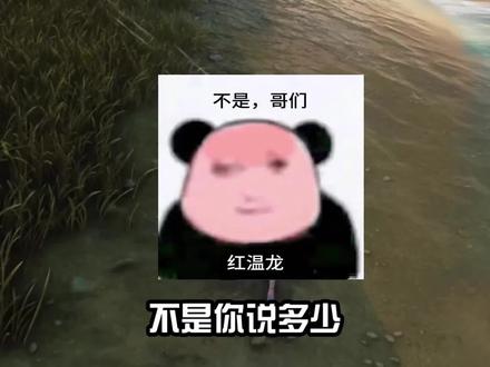 潮友们,你们的内存还吃得消吗?#鸣潮 #鸣潮我们生而眺望 #鸣潮琳奈