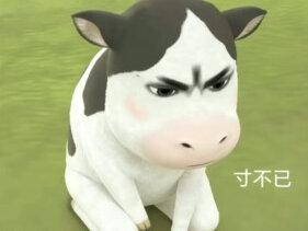 主包没招了,上个视频纯是抽象#道歉 #我服了 #看到最后