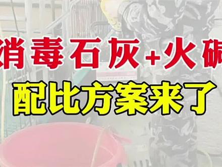 石灰火碱配比方案#养猪 #养猪消毒 #火碱 #养猪知识 @抖音三农