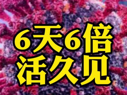 11.24-北交6天6倍,app狂推开户,是风险还是机会?