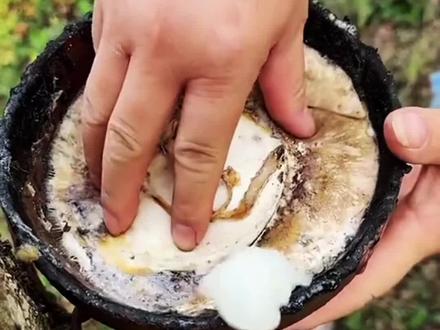 #割胶的过程虽然看着很解压,但却非常的辛苦