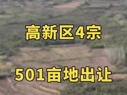 高新4宗501亩地出让 #合肥楼市 #合肥买房 #合肥房产