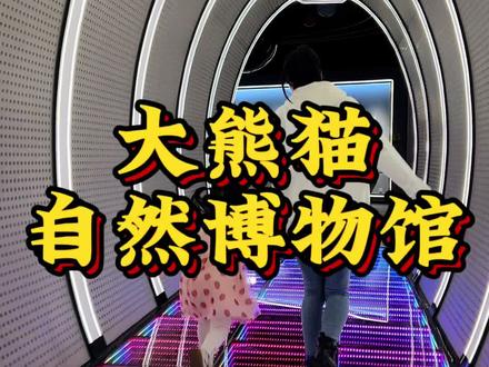 雅安大熊猫自然博物馆#室内儿童乐园 #亲子游玩好去处 #遛娃好去处 #淘气堡 #周末去哪玩