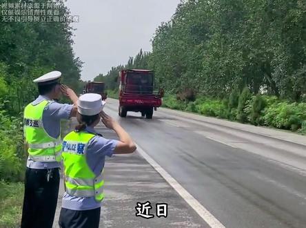 湖北襄阳雨口夺粮,这是国人独有的团结#小麦#抢收#暴雨