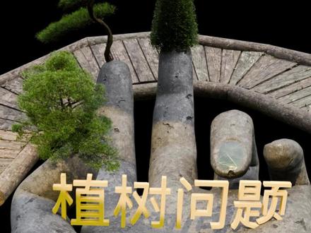 “植树问题”,一个手掌就搞定! 植树问题三种情况,保姆级教学。#植树问题 #间隔问题 #小学数学 #3D动画 #趣味数学