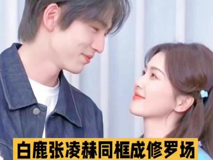 甜到齁的“赫鹿CP”凉透了?微博之夜避嫌名场面,男方卑微眼神藏不住故事!#白鹿 #张凌赫 #赫鹿cp #娱乐圈 #明星娱乐圈 @DOU+小助手 @DOU+上热门 @抖音创作小助手 @抖音创作灵感