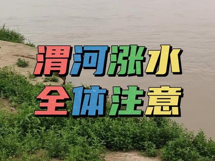 渭河涨水警钟长鸣 涨水涨水河道危险#黄河大鲤鱼#阳泉钓鱼 #户外钓鱼#窝料 #饵料 @张冰钓鱼(窝王)