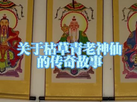 大年初三,探访枯草青老神仙(五)