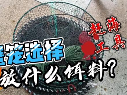 双月湾号海螃蟹笼的用法,选择多大比较合适?放什么饵料合适? #螃蟹笼