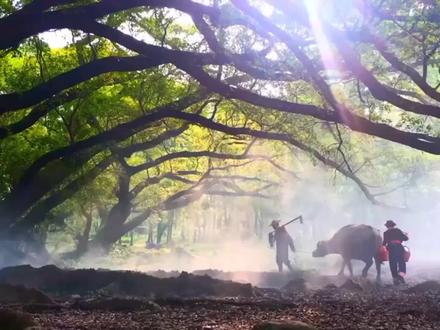 《江南》是一首走过时代与时空错乱的特殊情歌,此首歌其实想表达即是由古自今恒久不变的爱情观,来~在重新感受一下永远不变的爱情魔力……