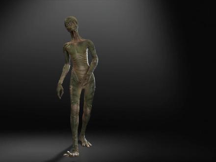 与人类最亲近的动物是什么? #人类 #狗子 #黑猩猩 #生物科普