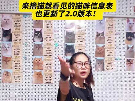 猫咖2.0全新的员工信息表,你来玩的时候留意到了吗 @猫咖店长二零妖 #猫咖 #撸猫馆 #周末去哪儿