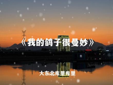 不知道,我的鸽子很曼妙!雷霆拼好歌!#疯狂的鸽子#我的鸽子很曼妙#拼好歌