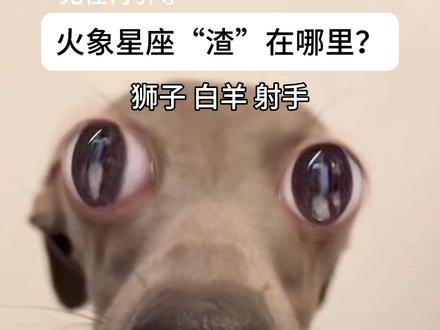 火象星座“渣”吗? #火象星座 #狮子座 #射手座 #白羊座