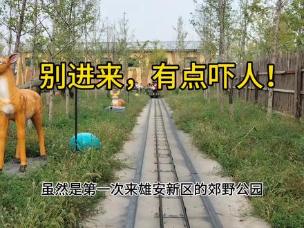 别来!来了你就走不了啦!#亲子游玩好去处 #遛娃好去处 #游乐园 #辛玛森林动物乐园