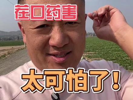 这样的药害,太可怕了#土豆 #马铃薯 #三农