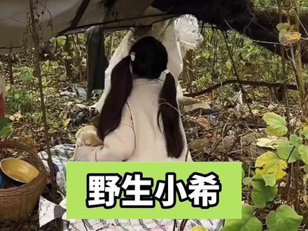 一人一狗相互依靠:小希孤独求生遇到流浪狗 #野生小希第100天 #野生小希男朋友 #野生小希野外生存