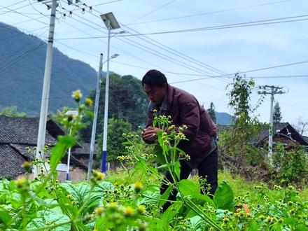 进入冬天的第一顿青菜炒肉,香味浓郁,好吃到吃了两碗饭#抖音美食创作人 #农村生活 #我的乡村生活