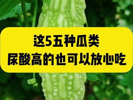 这五种瓜类,高尿酸也可以放心吃#尿酸 #尿酸高 #痛风 #瓜类