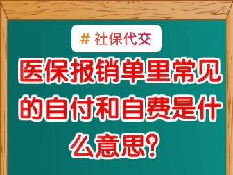 #社保代交 医保中的自付和自费是什么意思?